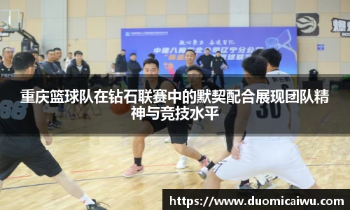 立博官网